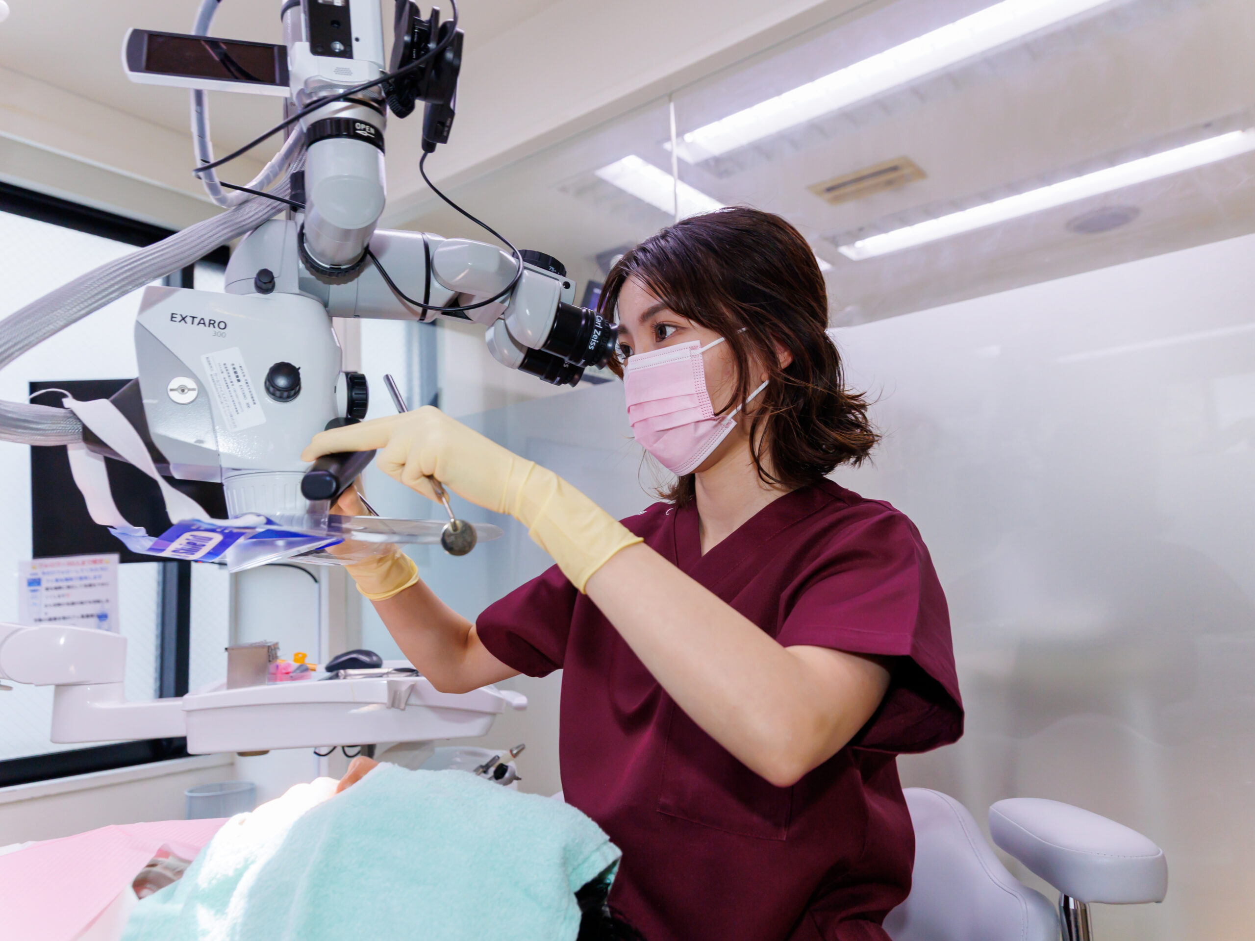 定期検診の様子